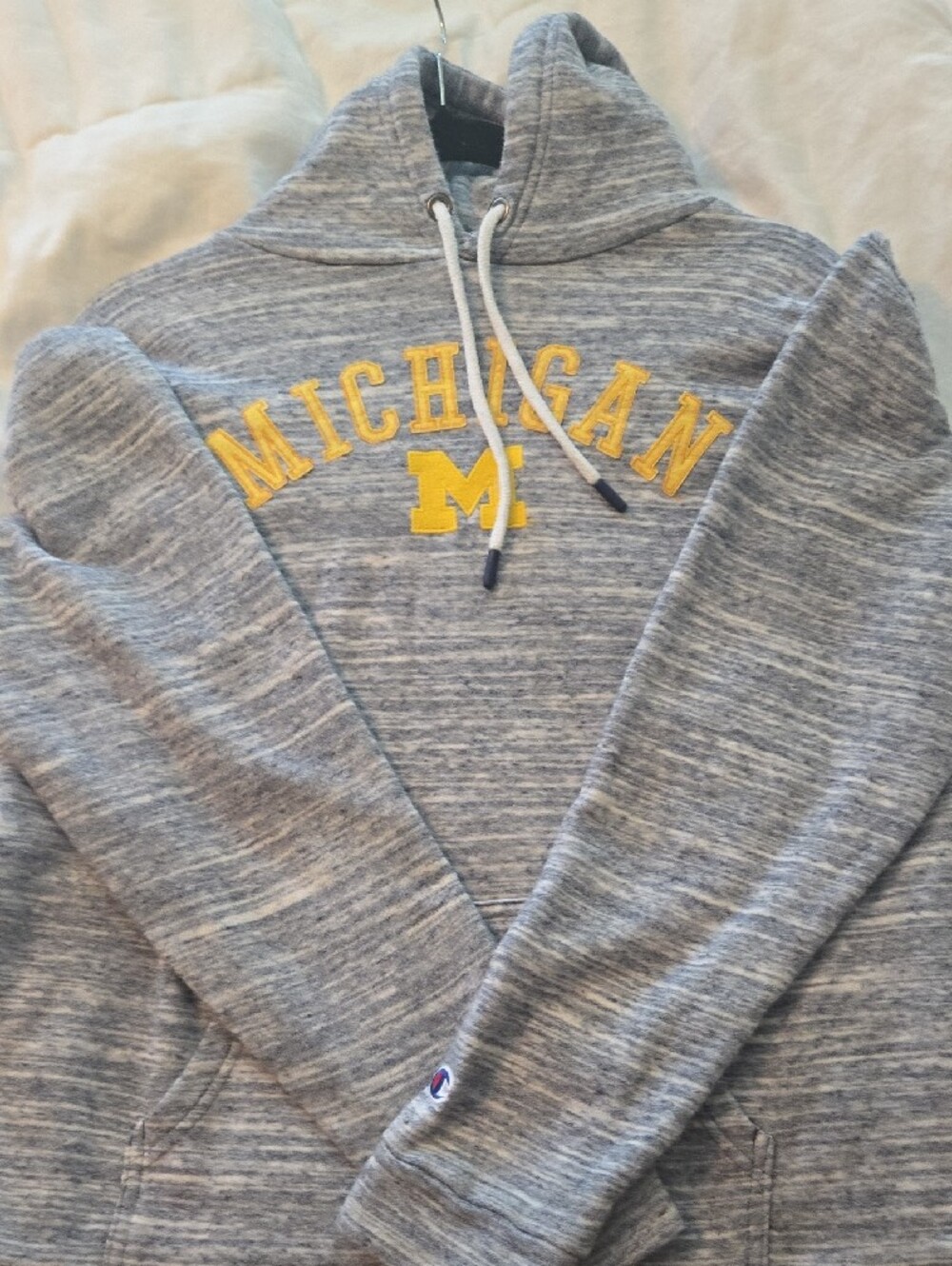 Champion Michigan Hoodie Sweatshirt